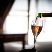 vintips