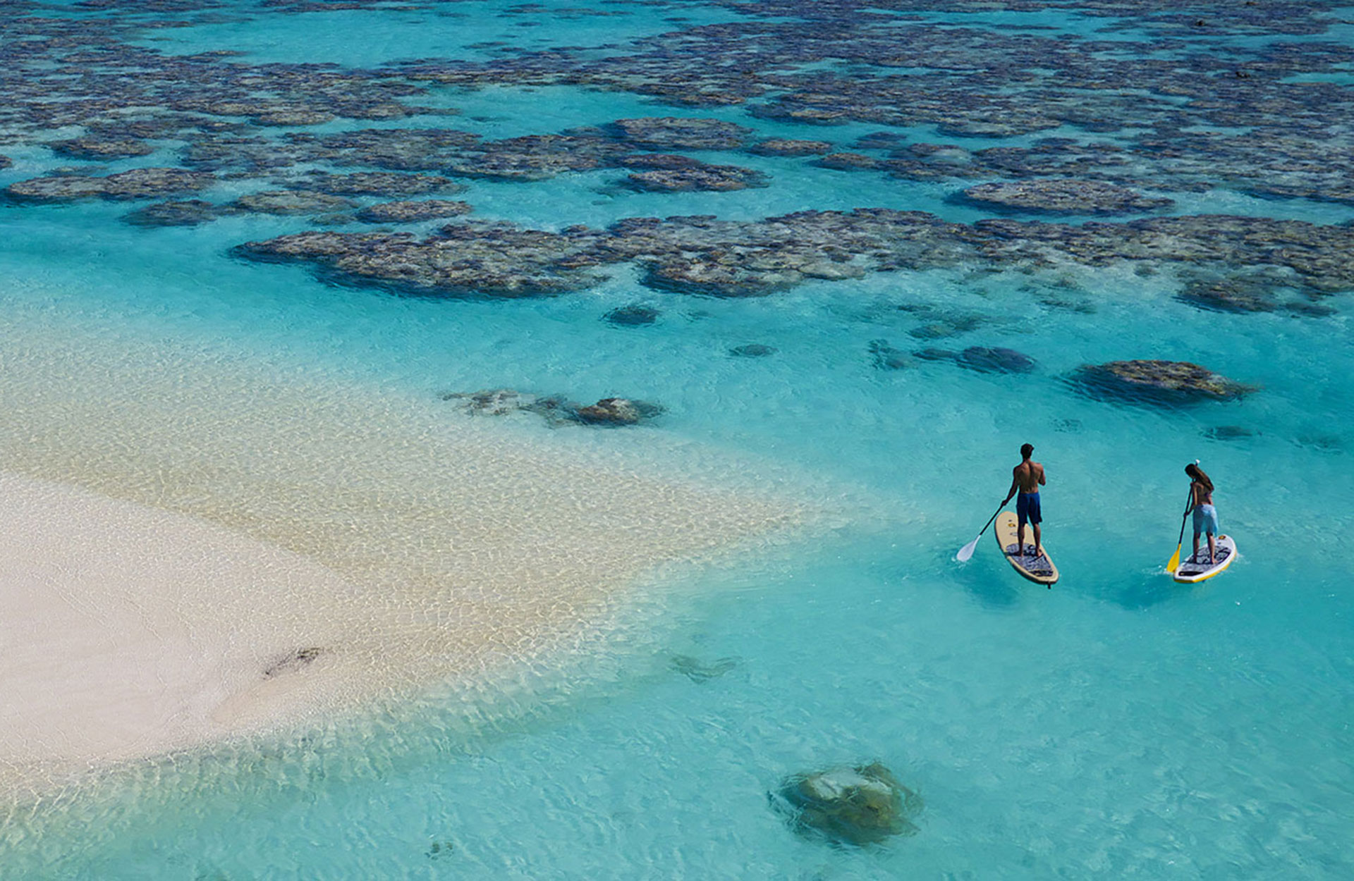 Fieldwood Travel - Padel Board - Brando Island