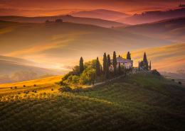 Vinprovning i Toscana