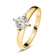 Ring Venice